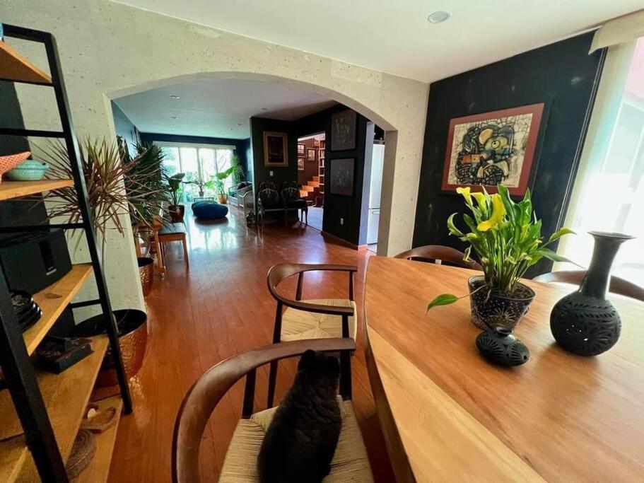 Luxurious Mid Century Modern Folk Art Home Мехико Экстерьер фото